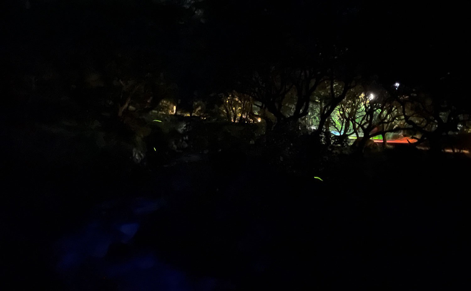 🌸 아타미 매화원 (아타미 바이엔) 이미지 9